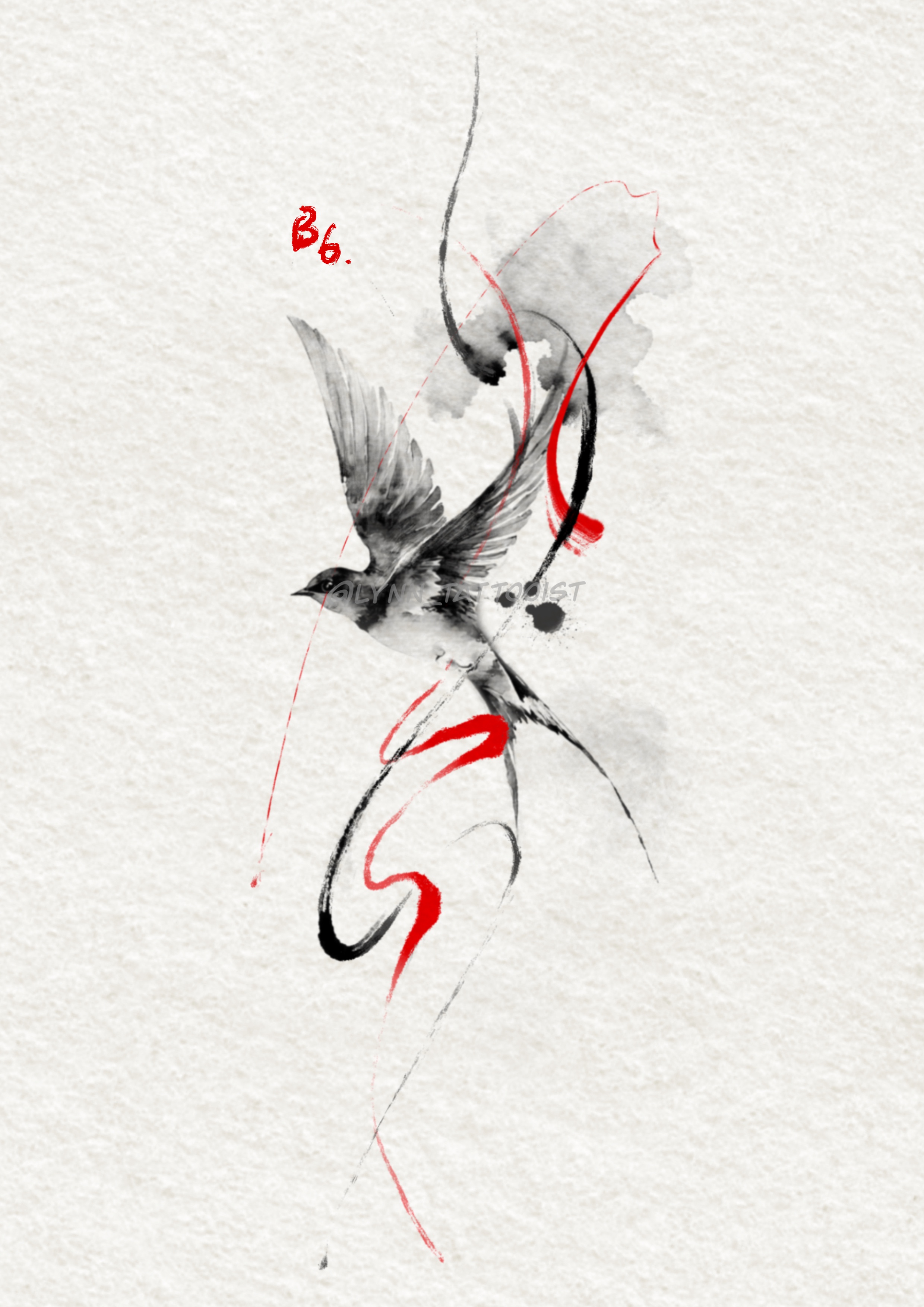 Lynn B6