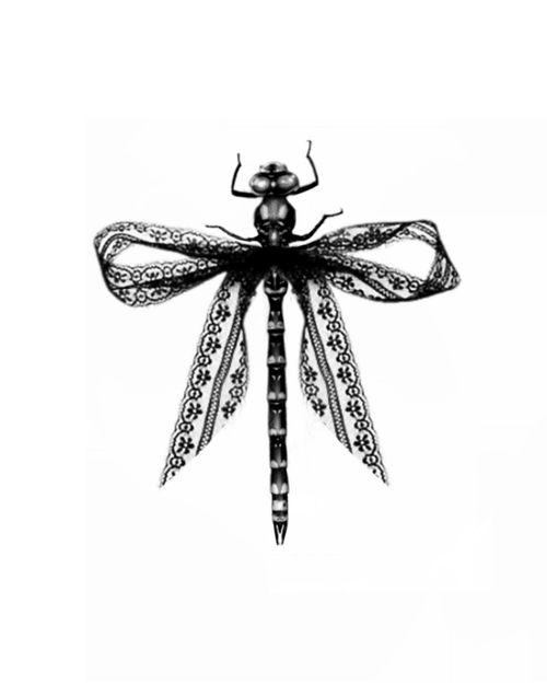 Christina Lace Dragonfly