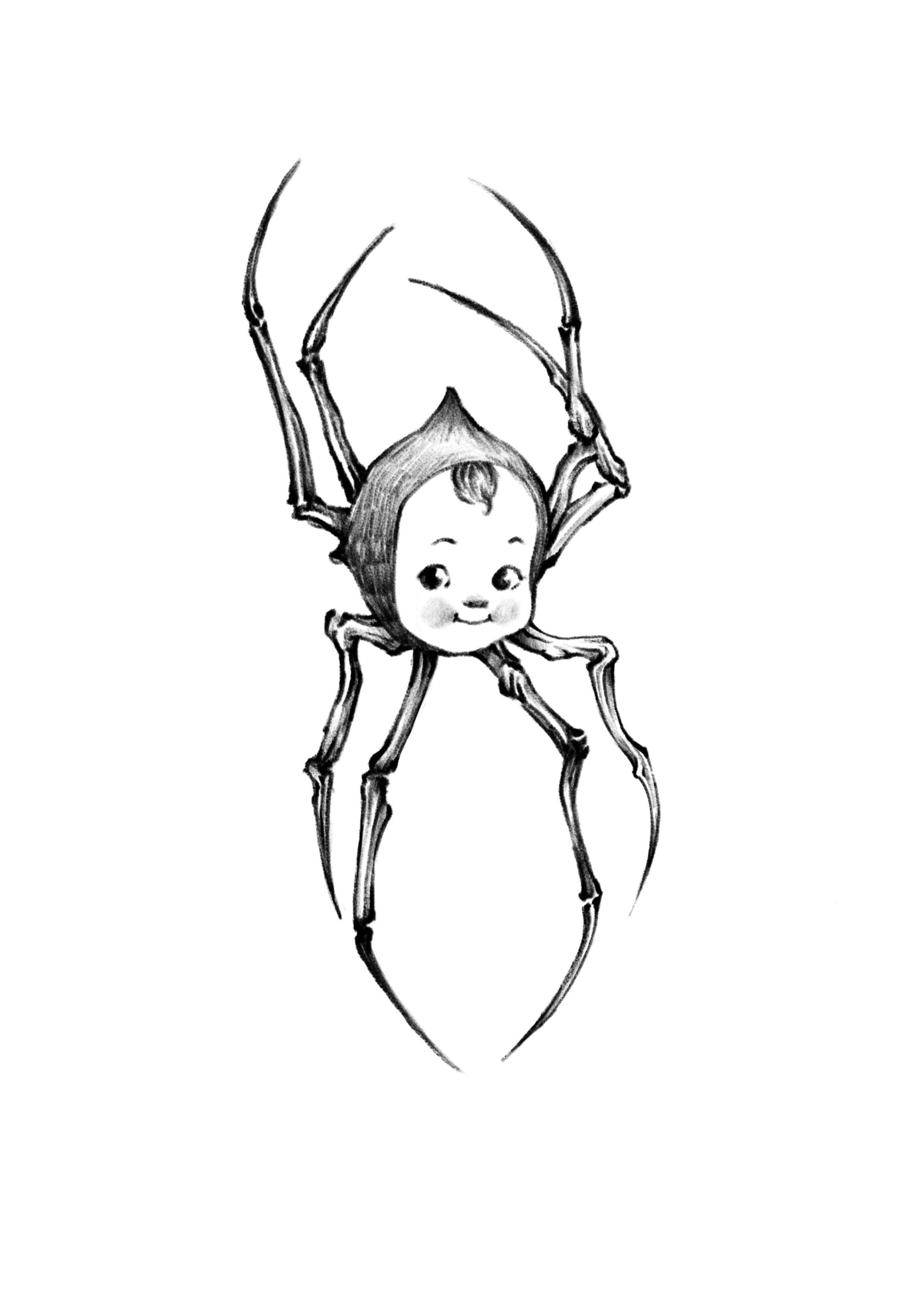 Daey Kewpie Spider