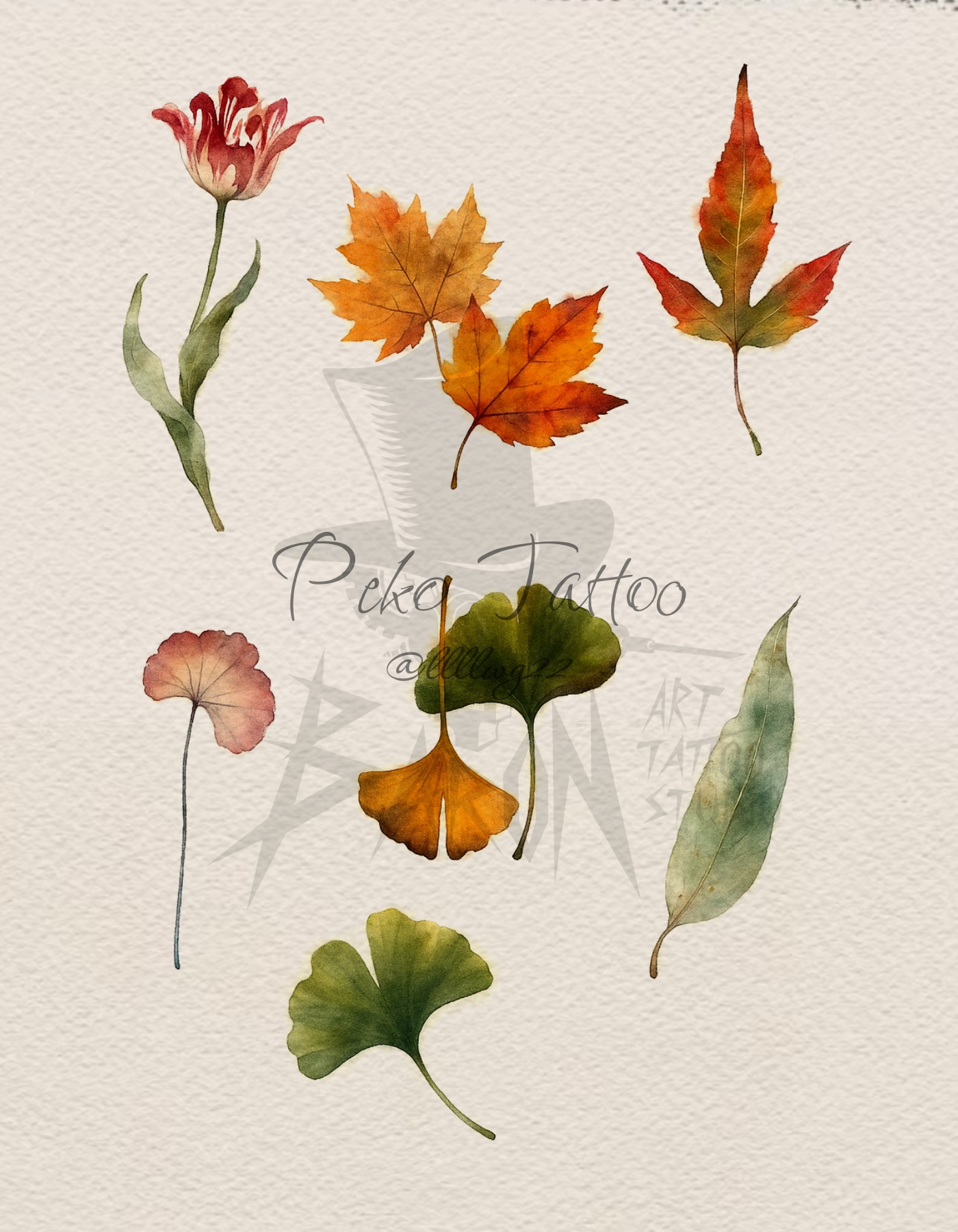 Peko Ink Wash Leaf
