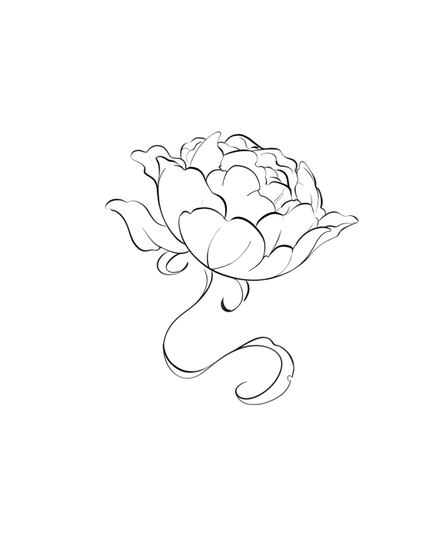 Irene Wavy Peony