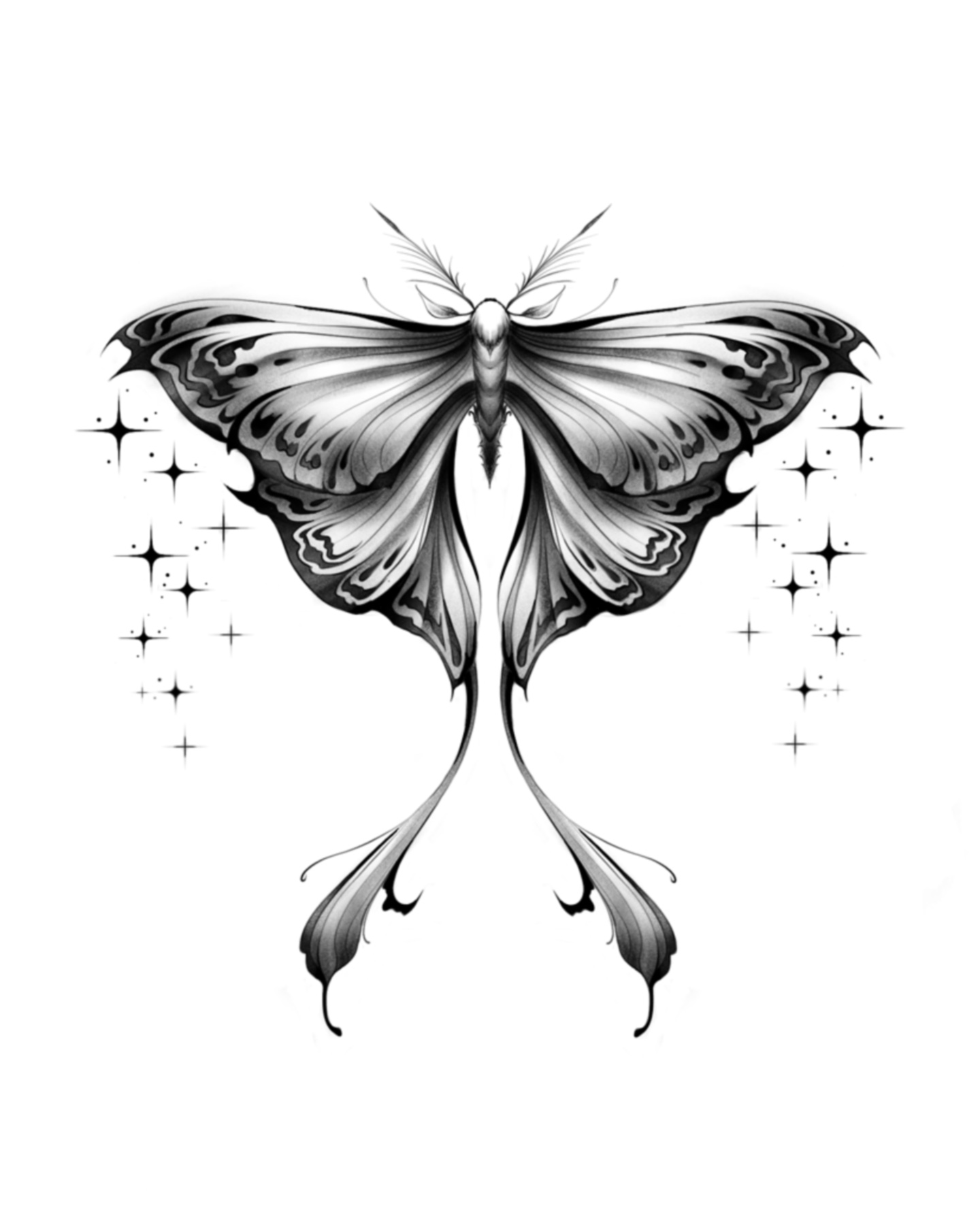 Christina Sparkle Moth