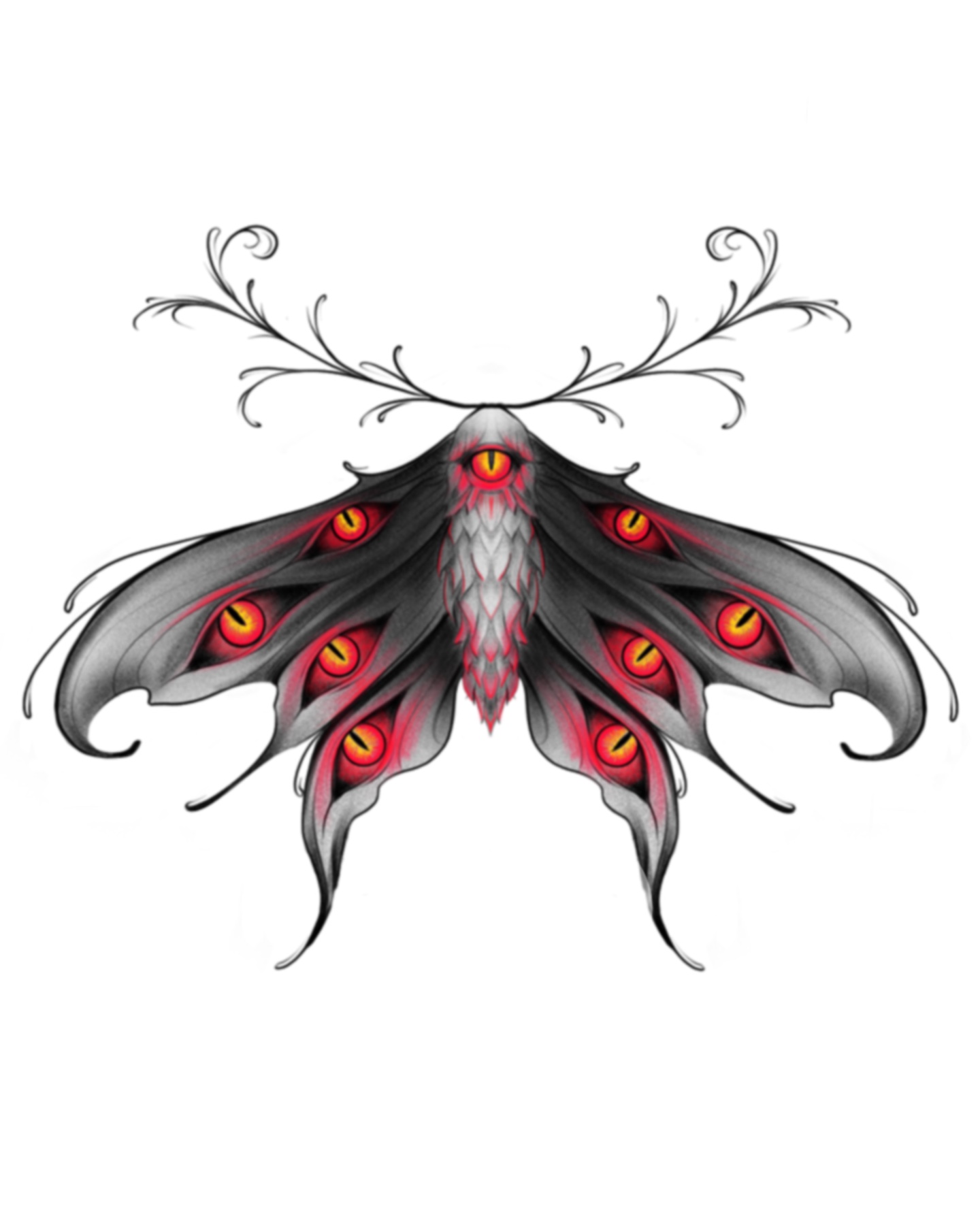 Christina Eyeball Moth