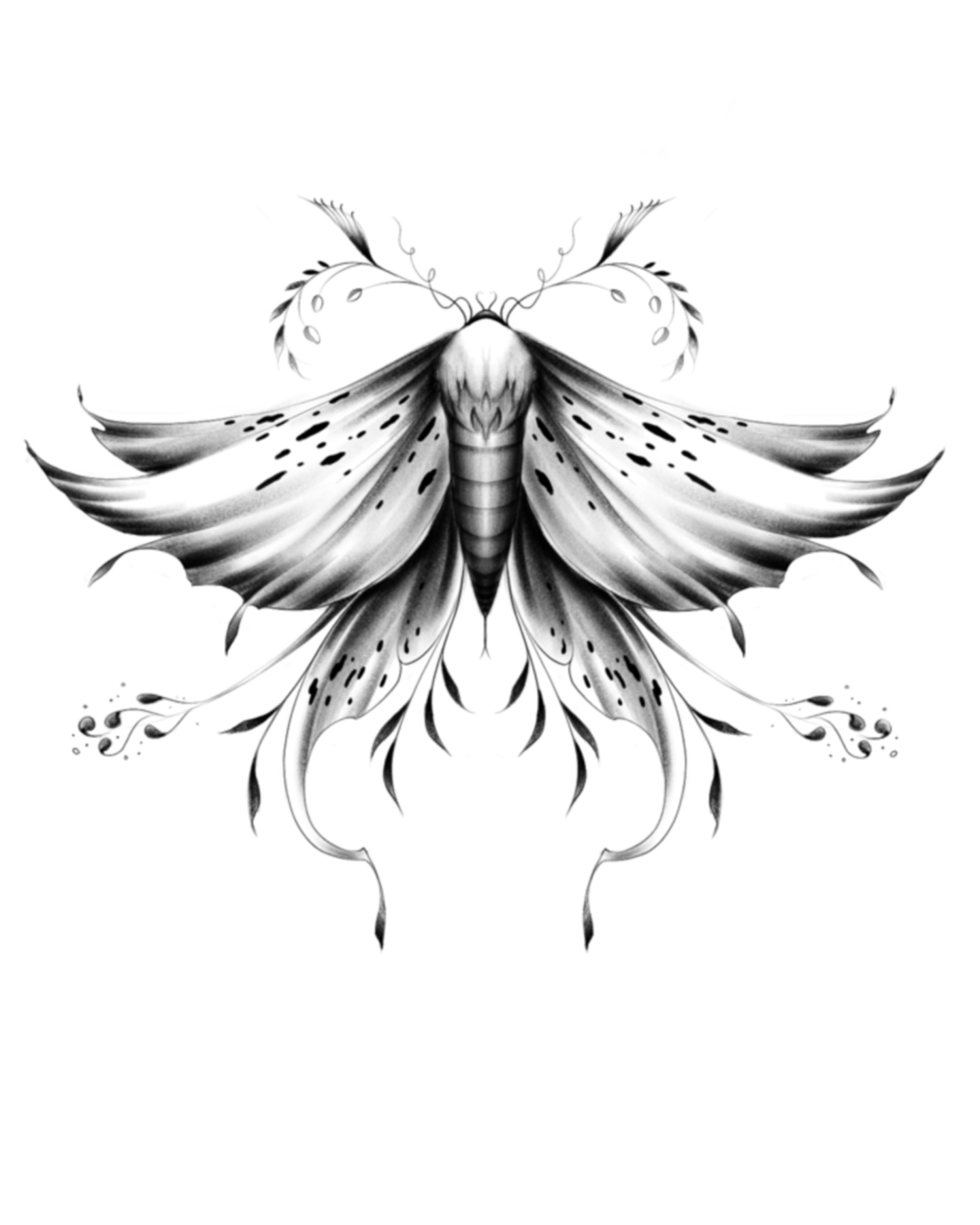 Christina Flower Moth