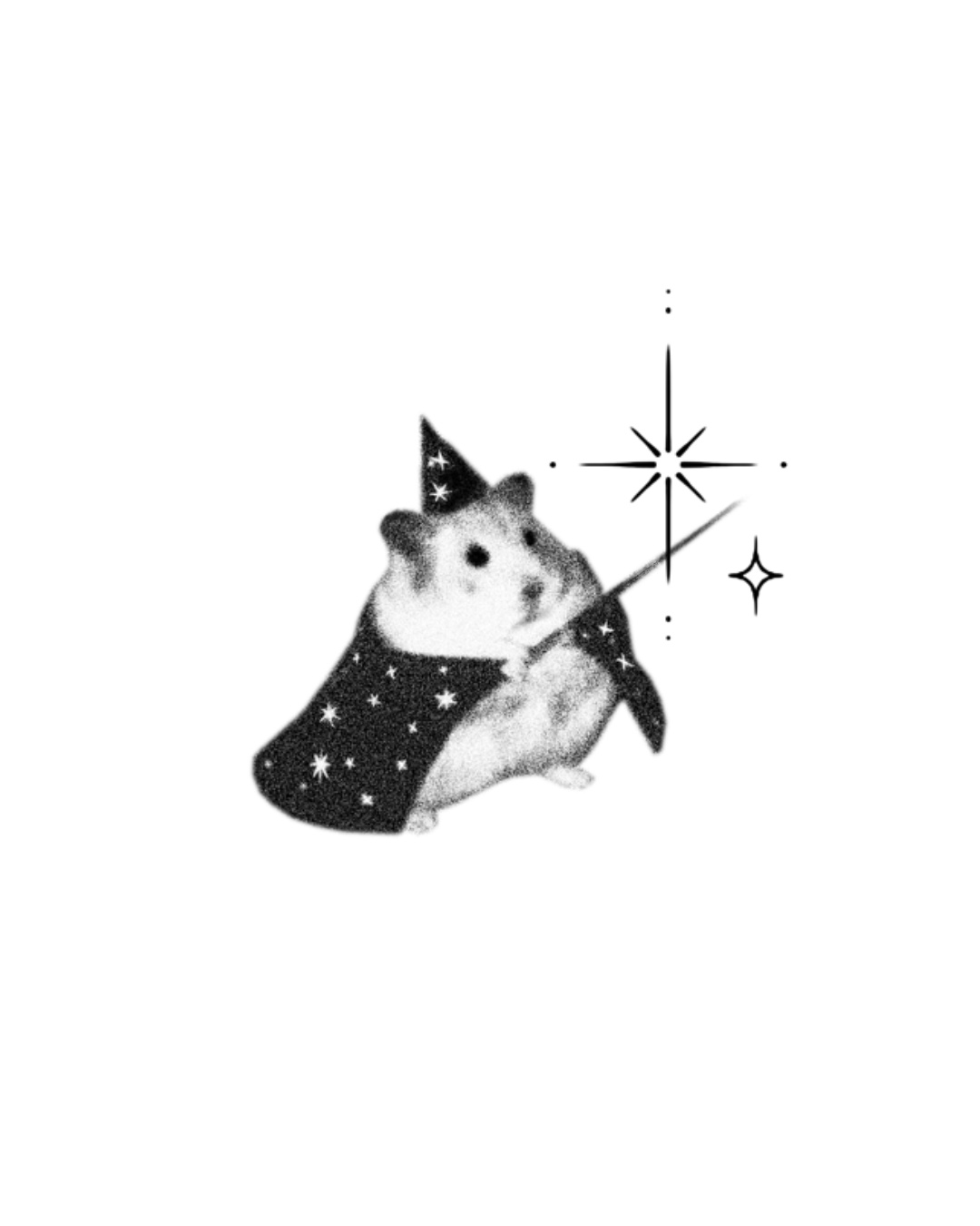 Daey Wizard Hamster