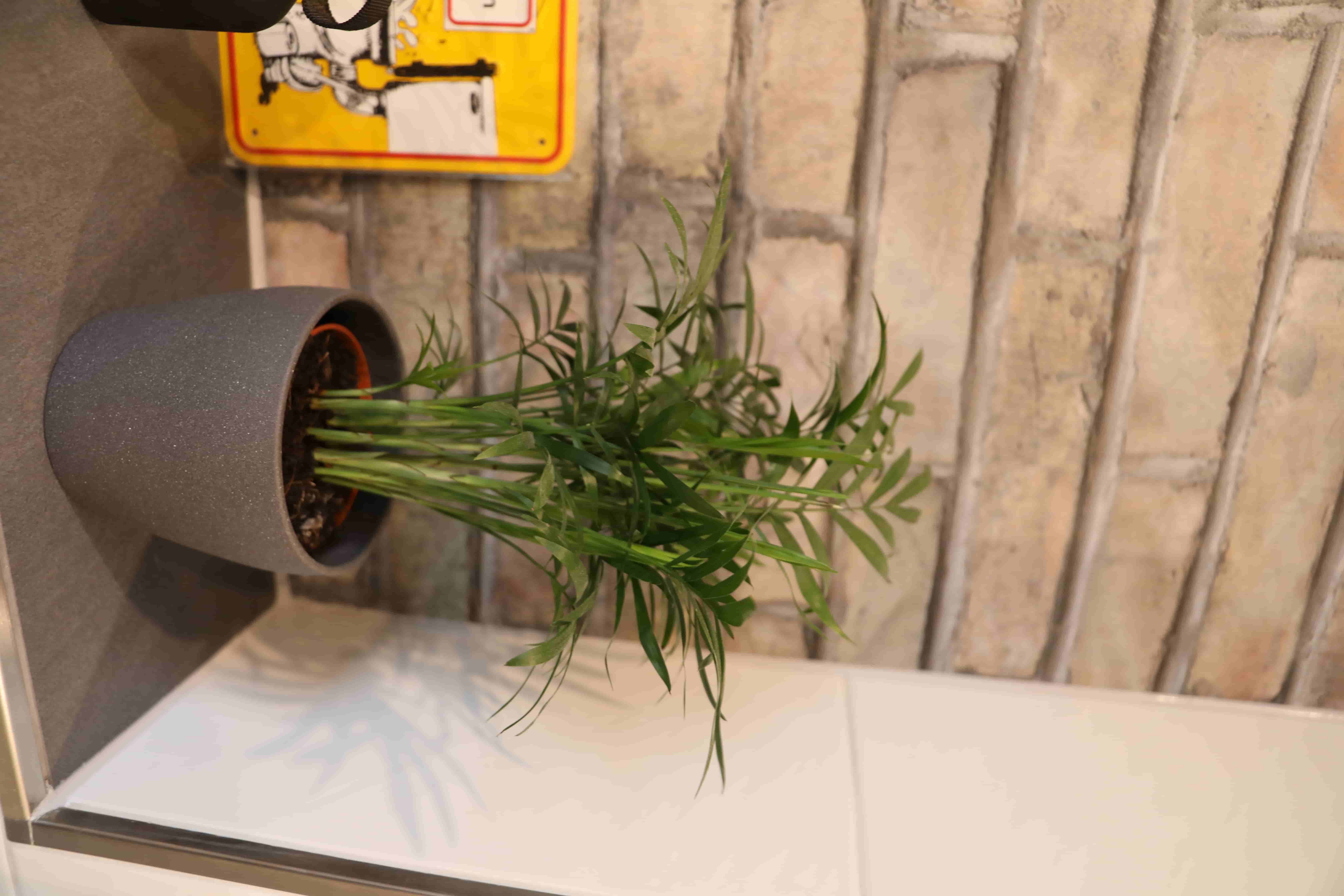 Natursteinoptik in Hauptbad – Nachher Bild 16