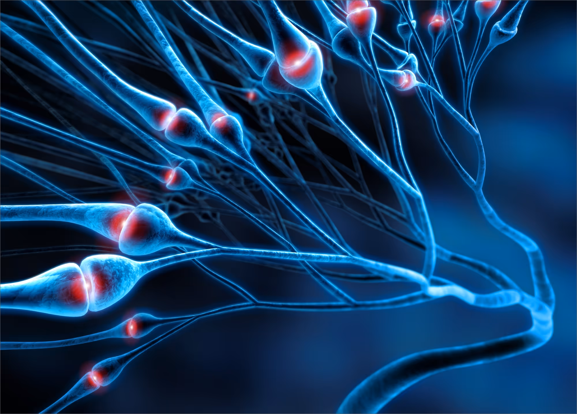 A illustration of a plasma