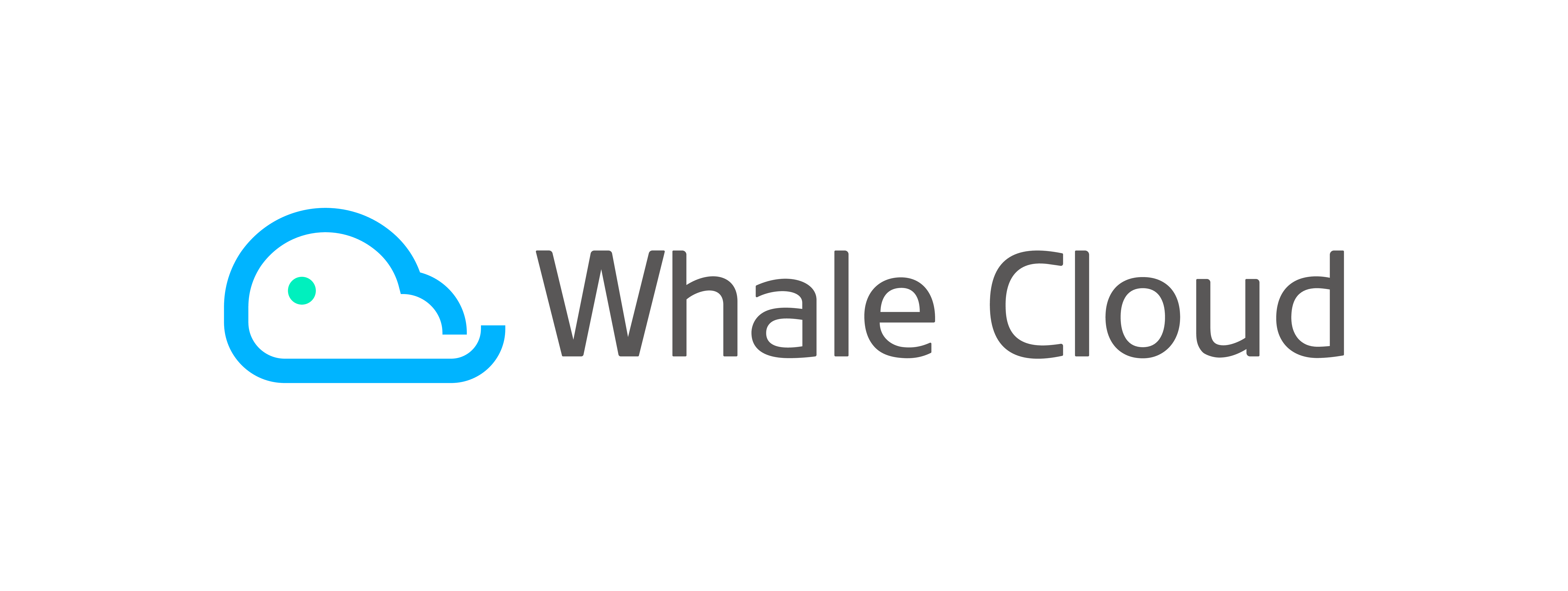 Whale Cloud
