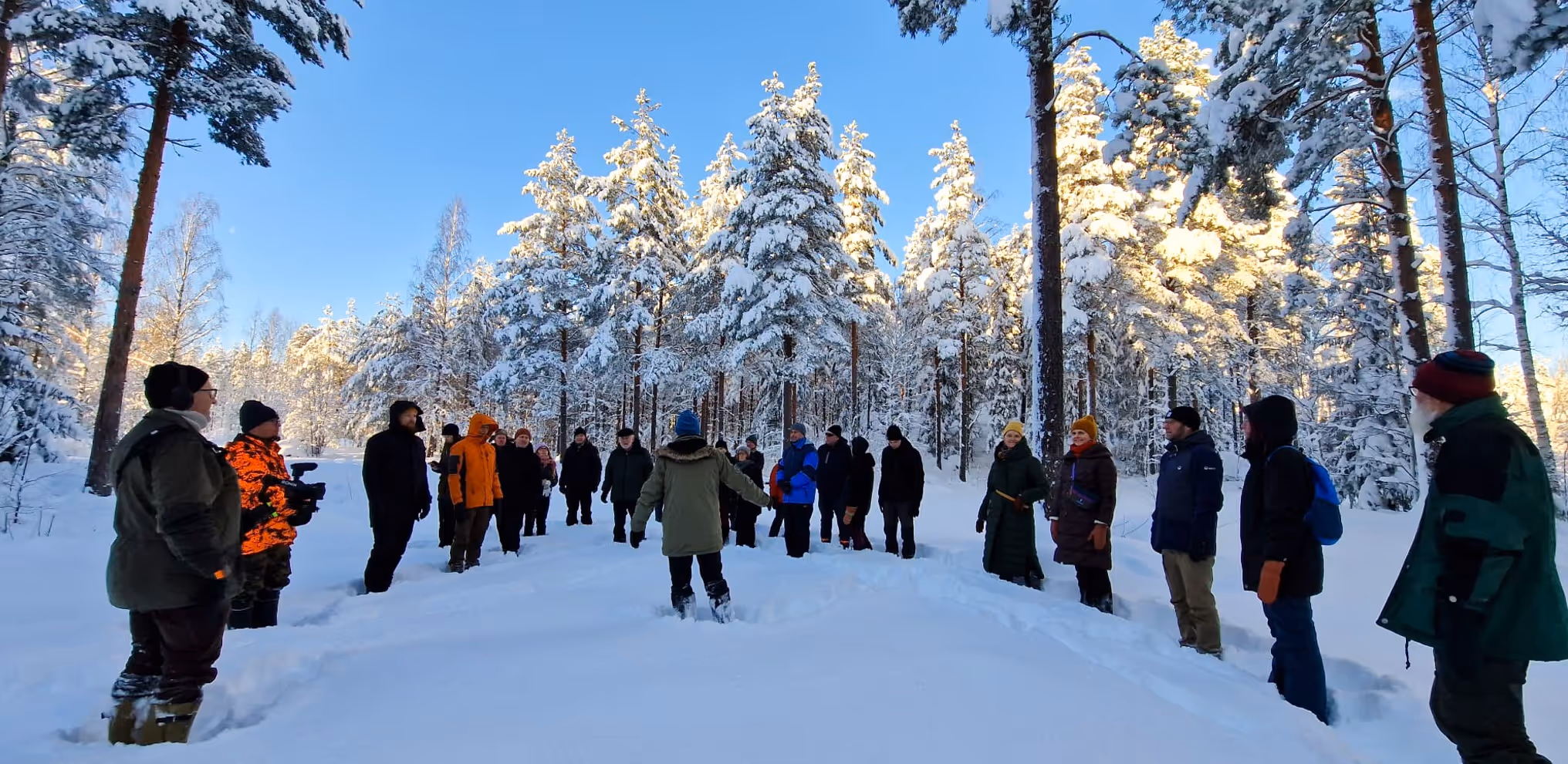 Ihmisiä-kävelemässä-metsässä