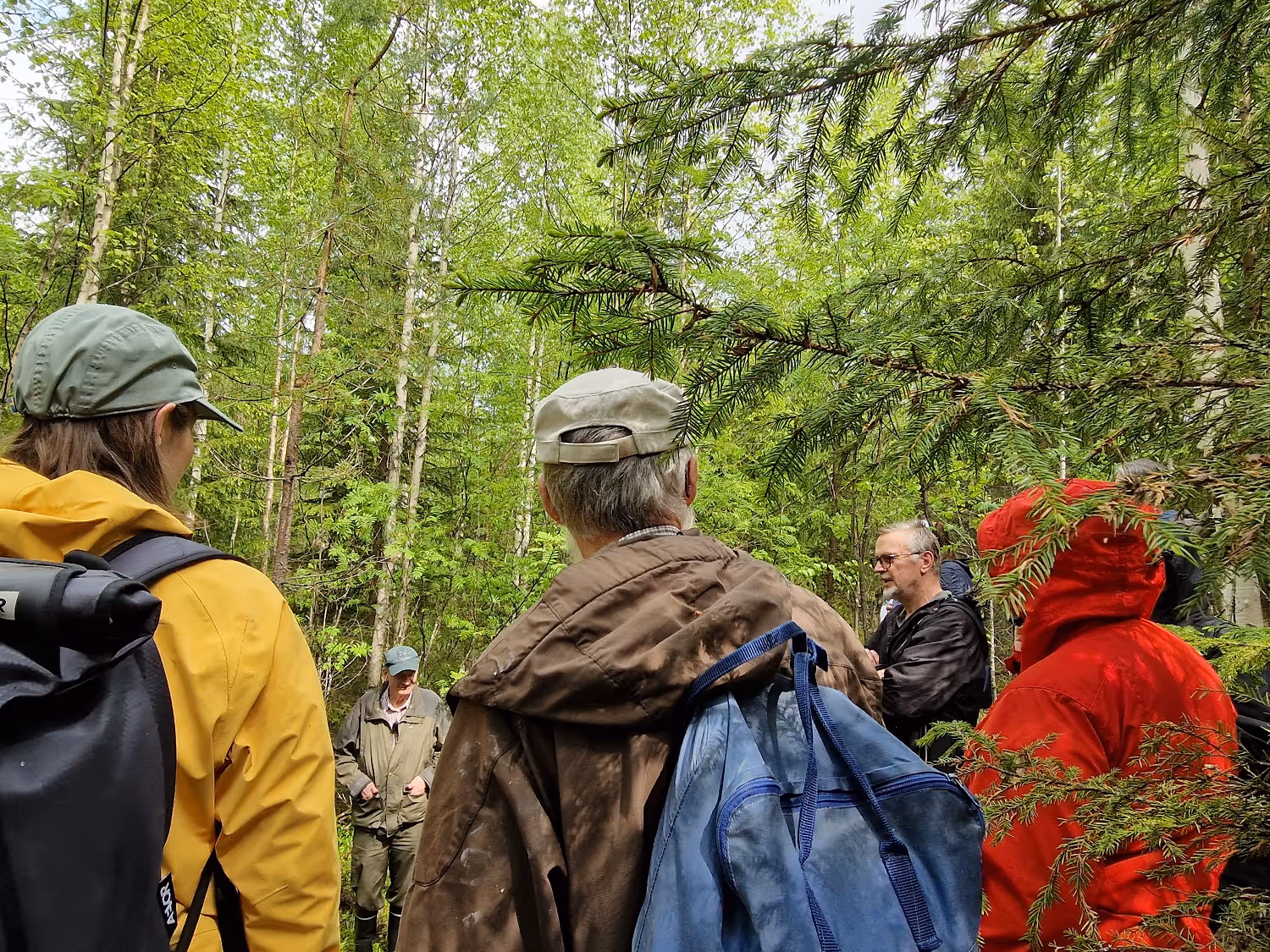 Ryhmän ihmisiä metsässä kuuntelemassa ohjaajaa, kaikki takakautta nähtyinä, ympärillä vihreää kasvillisuutta.