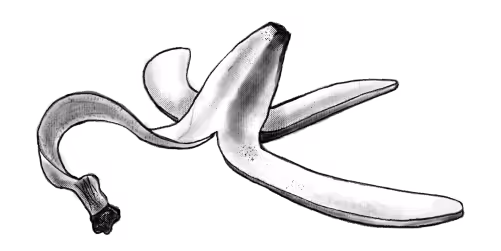 Compostable Illustrated banana peel