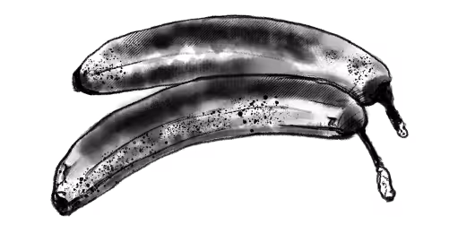 Compostable Illustrated bananas