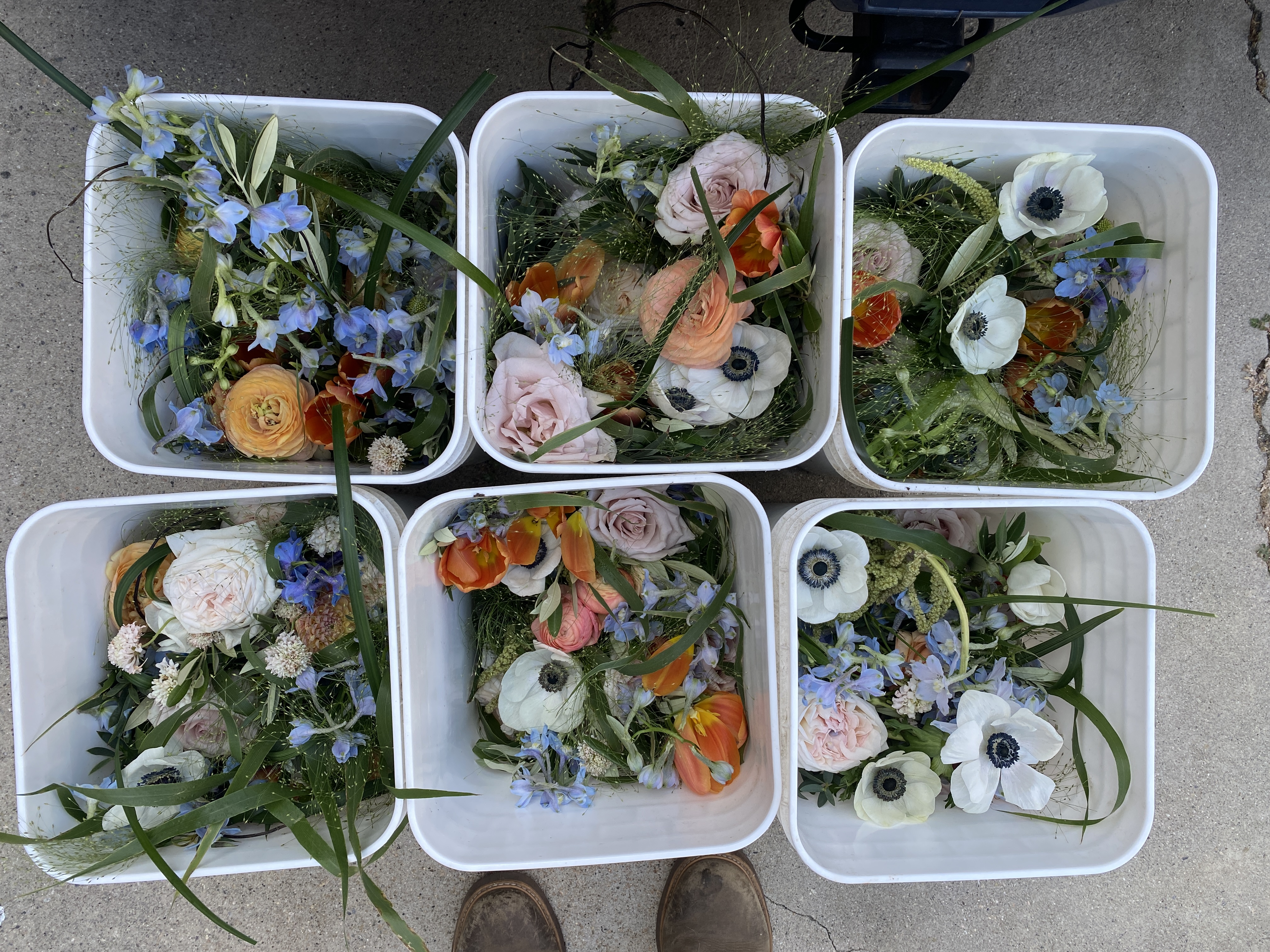 Compostable Bucket filled with flower scraps