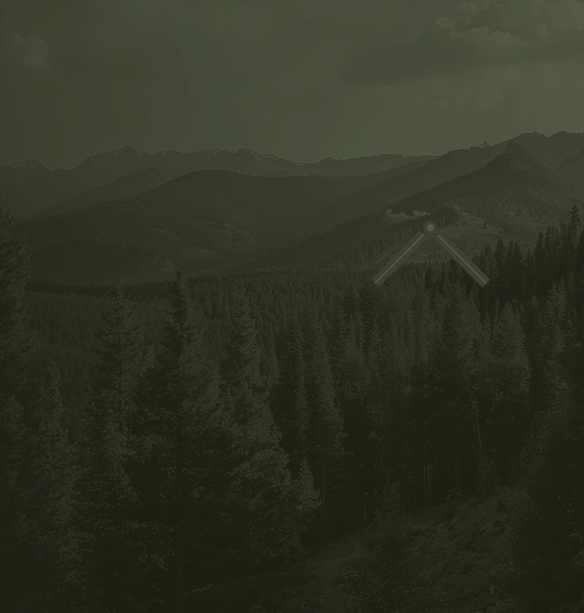 Panoramic view of forested mountains under a cloudy sky with layers of ridges receding into the distance.