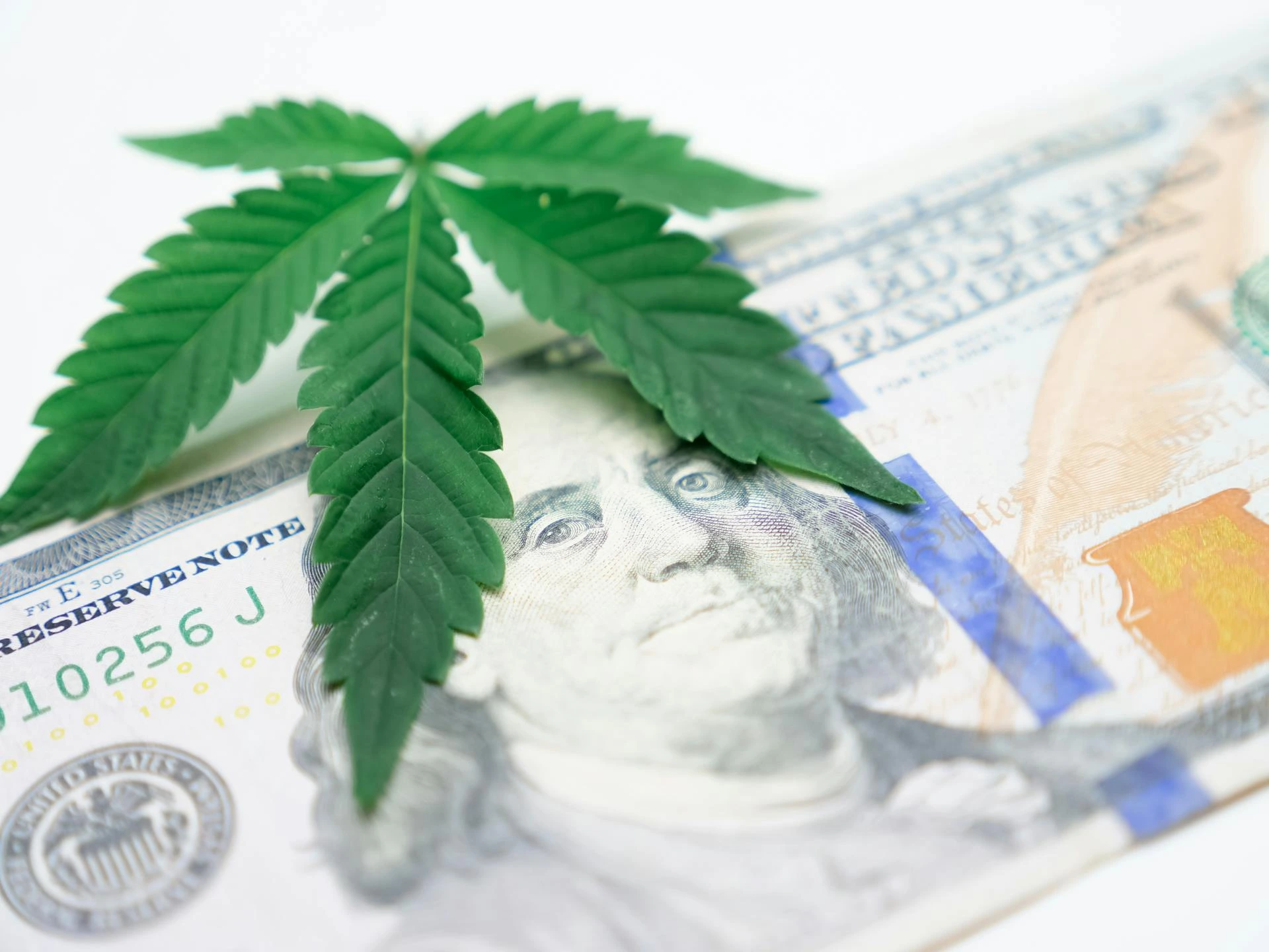 Cannabis banking and finance, illustrating account and lending options for cannabis businesses