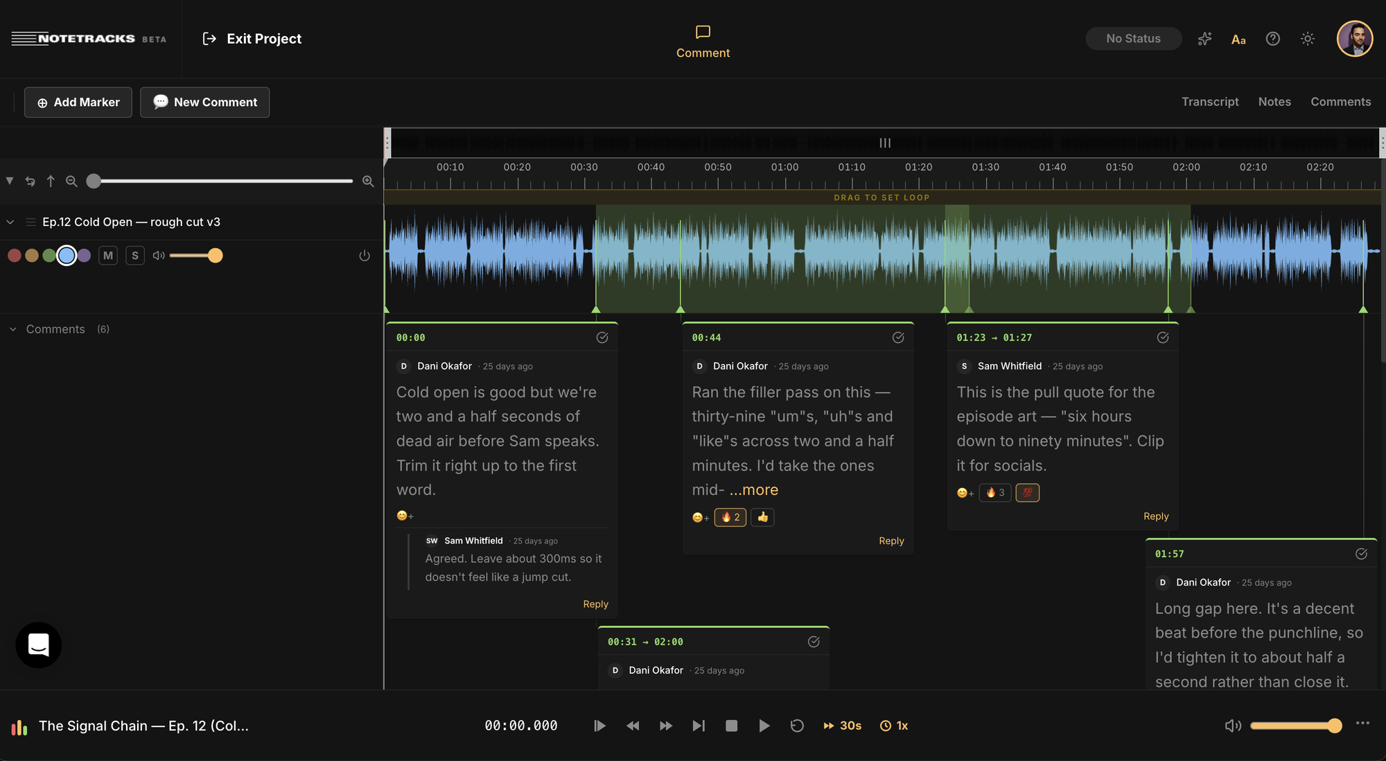 Notetracks project with timestamped comments, replies and reactions on an episode rough cut