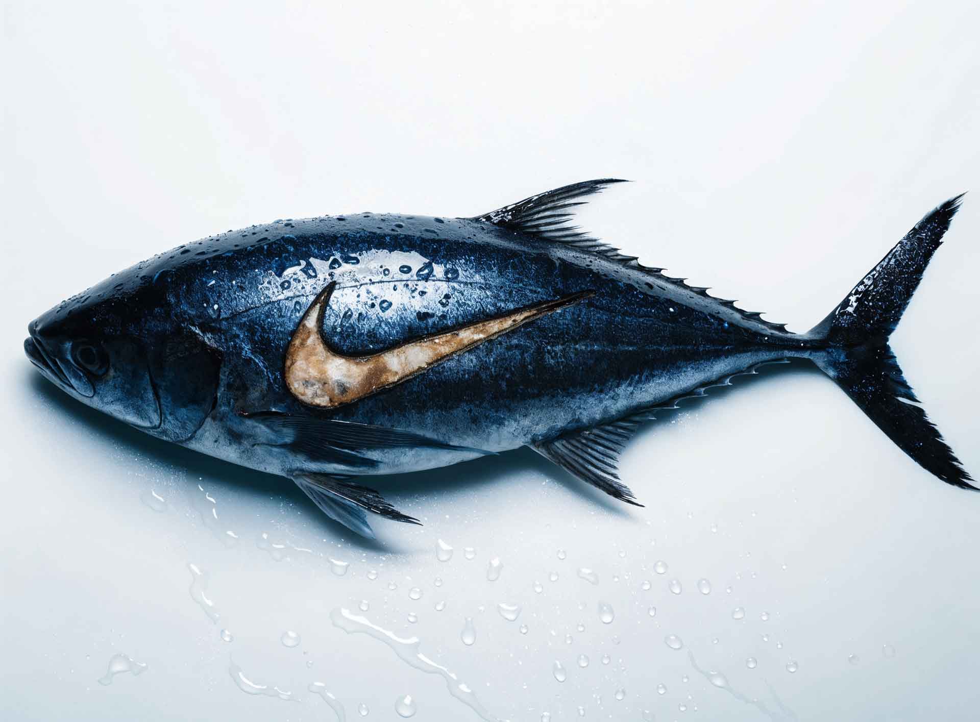 Fresh whole fish with a wet, shiny surface displaying a Nike swoosh mark on its side.