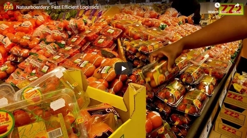Fast Efficient Logistics video