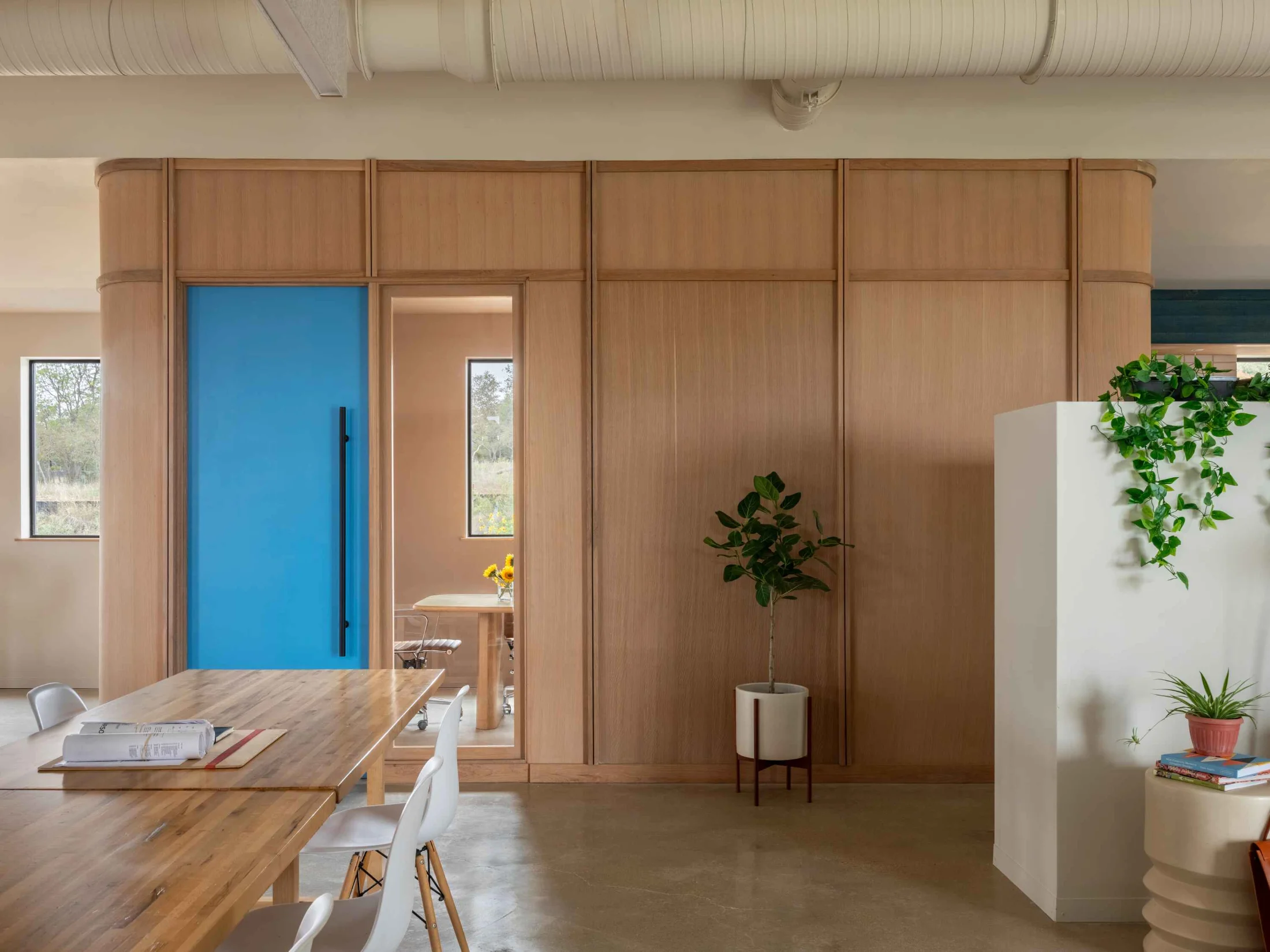 A view of the FBG Office, showing light-hued panelling accented by a bright blue door