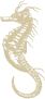 Caballito de mar