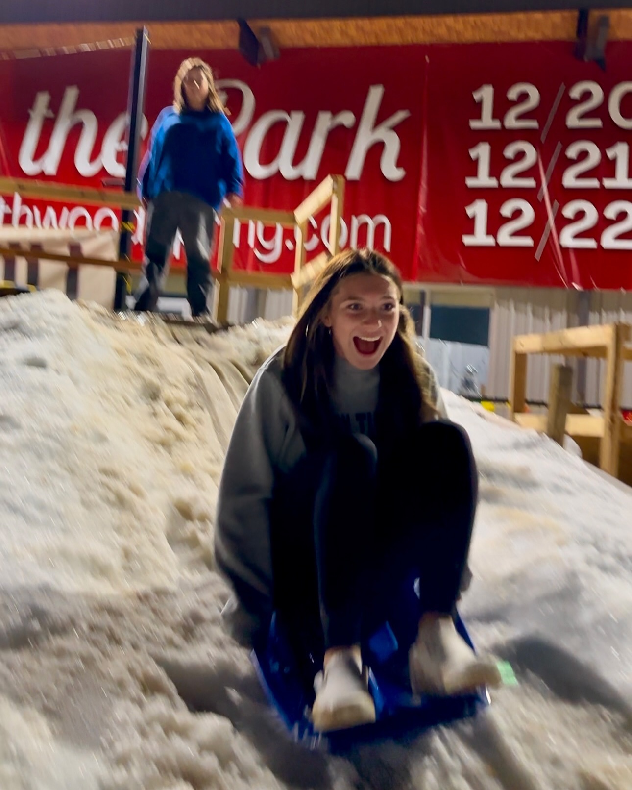 Camel rides at Christmas in the Park