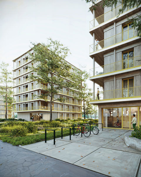 Krampnitz Baufeld 6