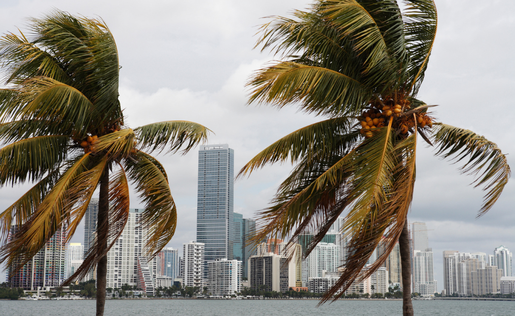 Engineering for Resilience: Structural Design in Florida’s High Velocity Hurricane Zones