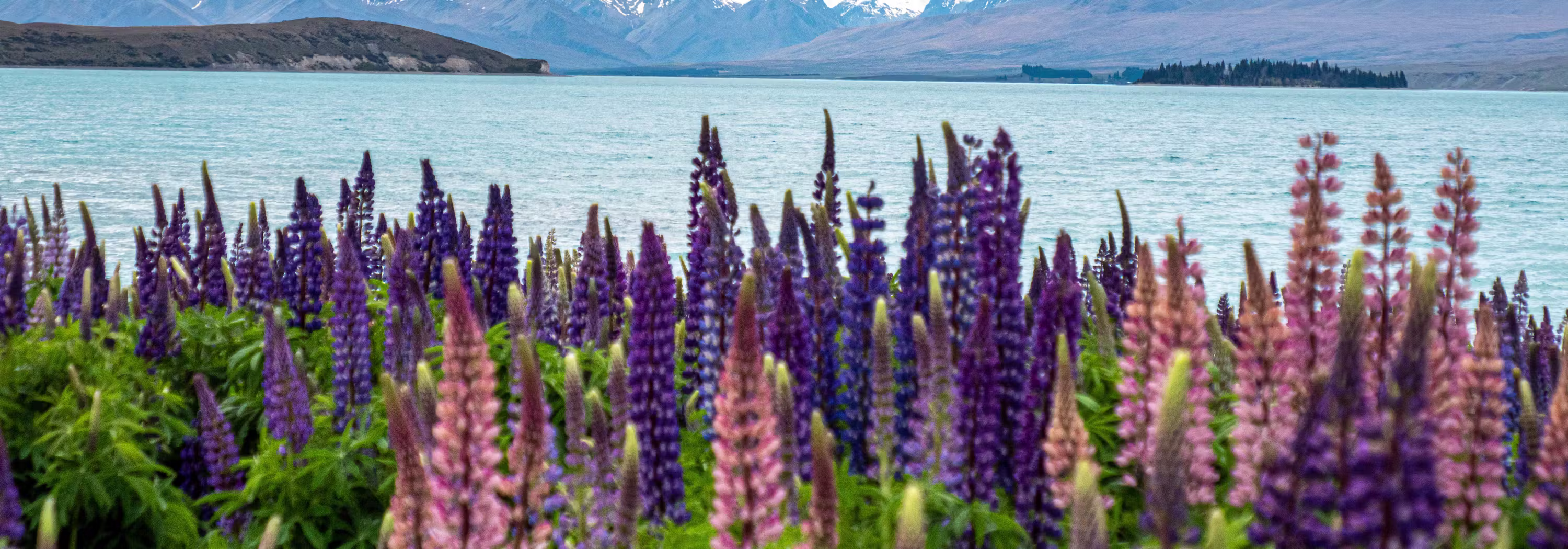 School Trip to New Zealand on a STEM NZ Tour organised by Educating Adventures.