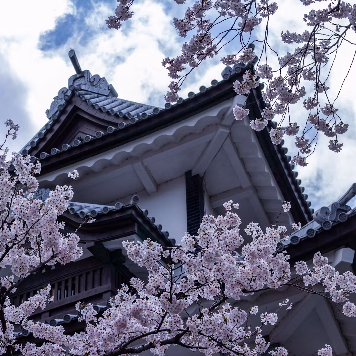 School tour to Kanazawa Historic Region