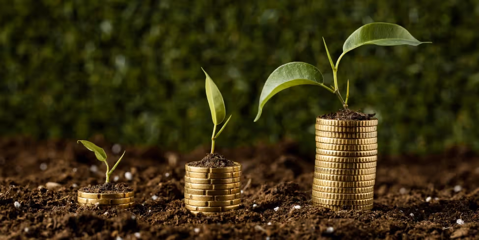 Make more money at your hotel