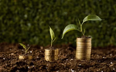 Make more money at your hotel