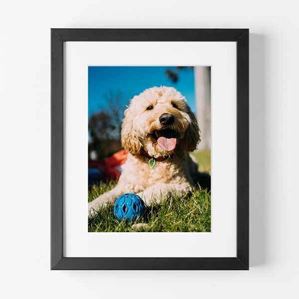 Portrait Photo Frame