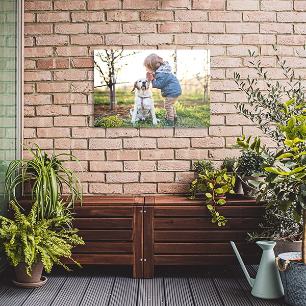 Metal ChromaLuxe Prints