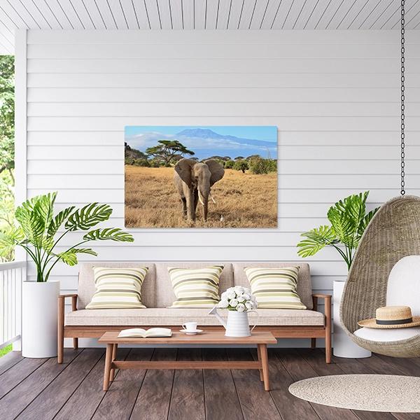 Metal ChromaLuxe Prints