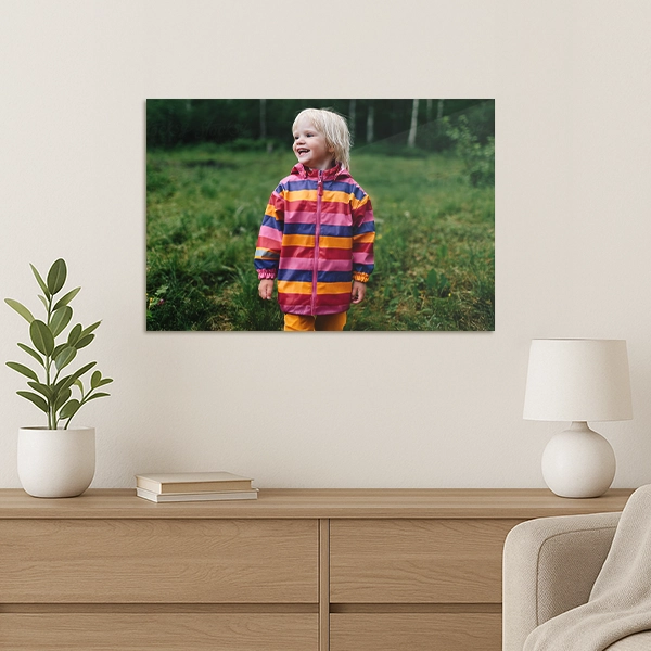 Metal ChromaLuxe Prints