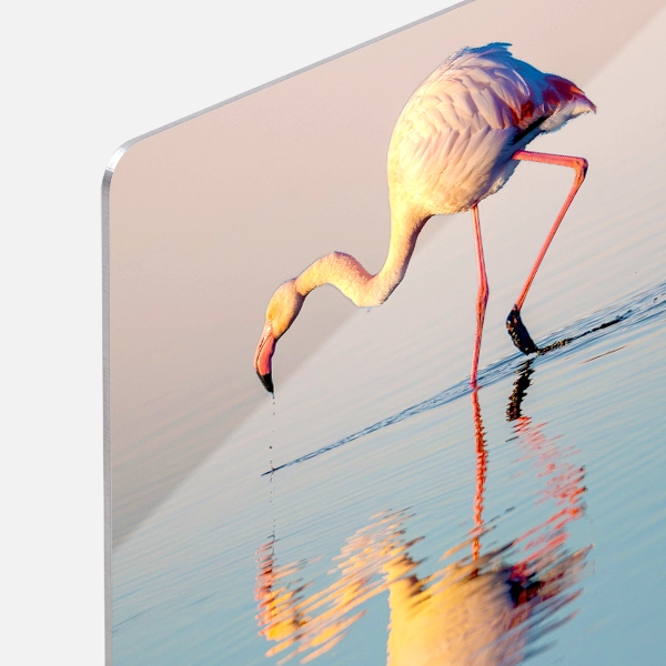 Metal ChromaLuxe Prints