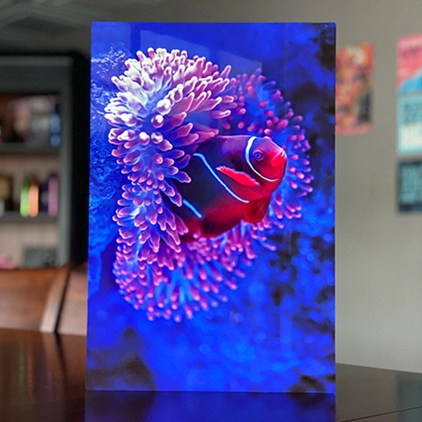 Metal ChromaLuxe Prints