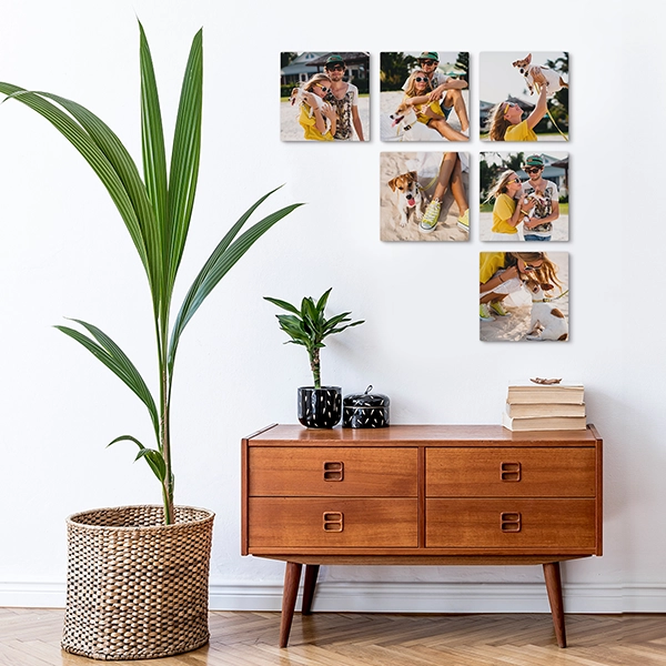 Metal ChromaLuxe Prints