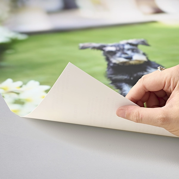 a4 prints high quality