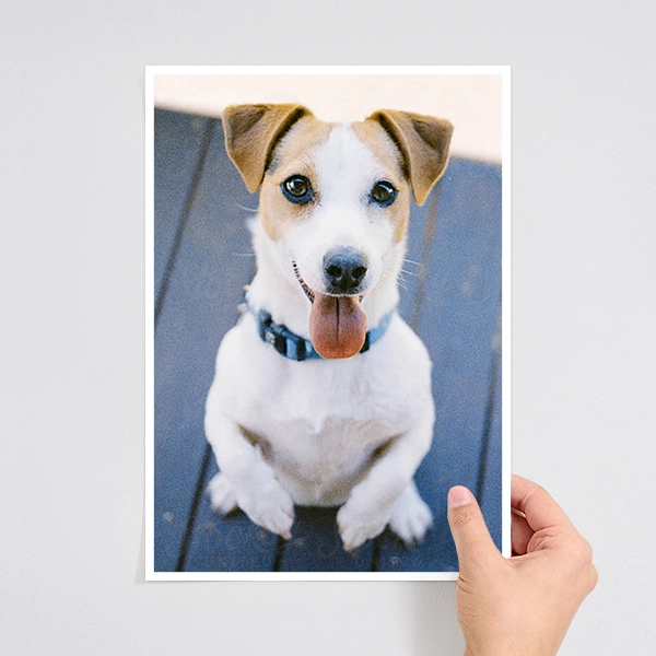 a4 photo prints delivered next day