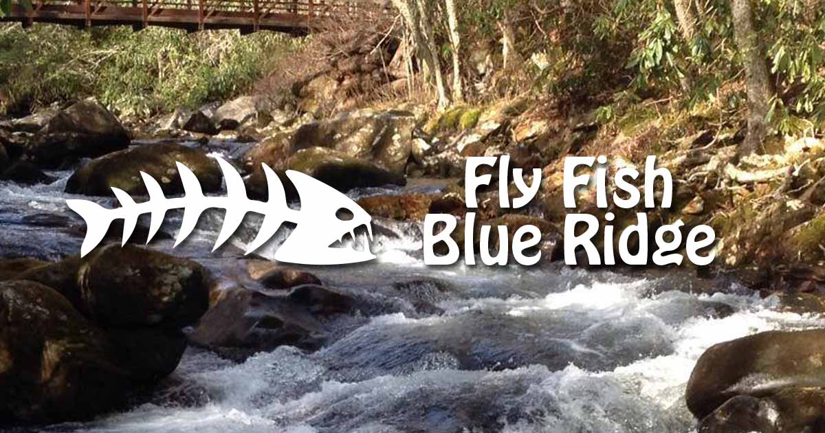 fly fishing | trout fishing | fishing guide | north ga | blue ridge ga ...