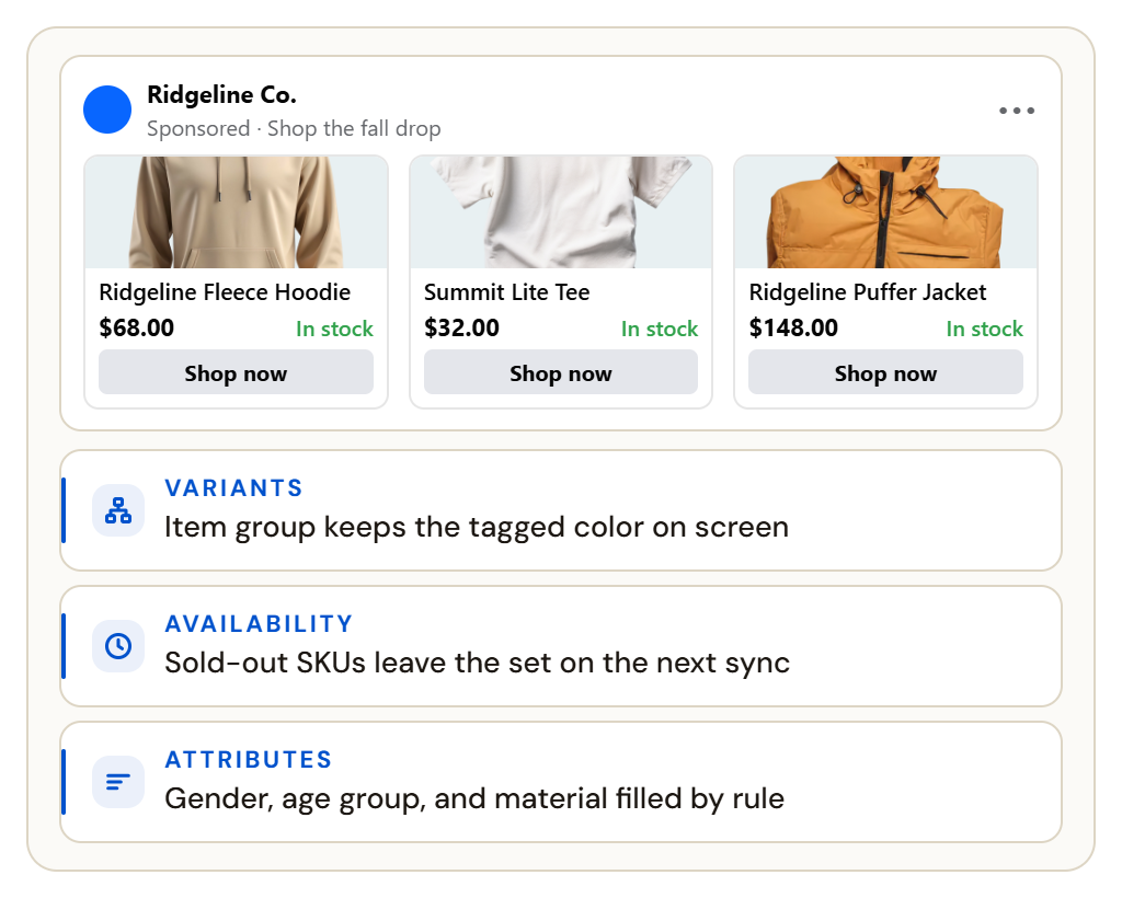 Catalog ads on Meta, TikTok, and Pinterest, each showing a product image, title, price, and in-stock status drawn from one catalog.