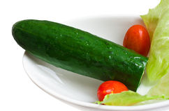 Hình ảnh cấu tạo bộ phận sinh dục nam