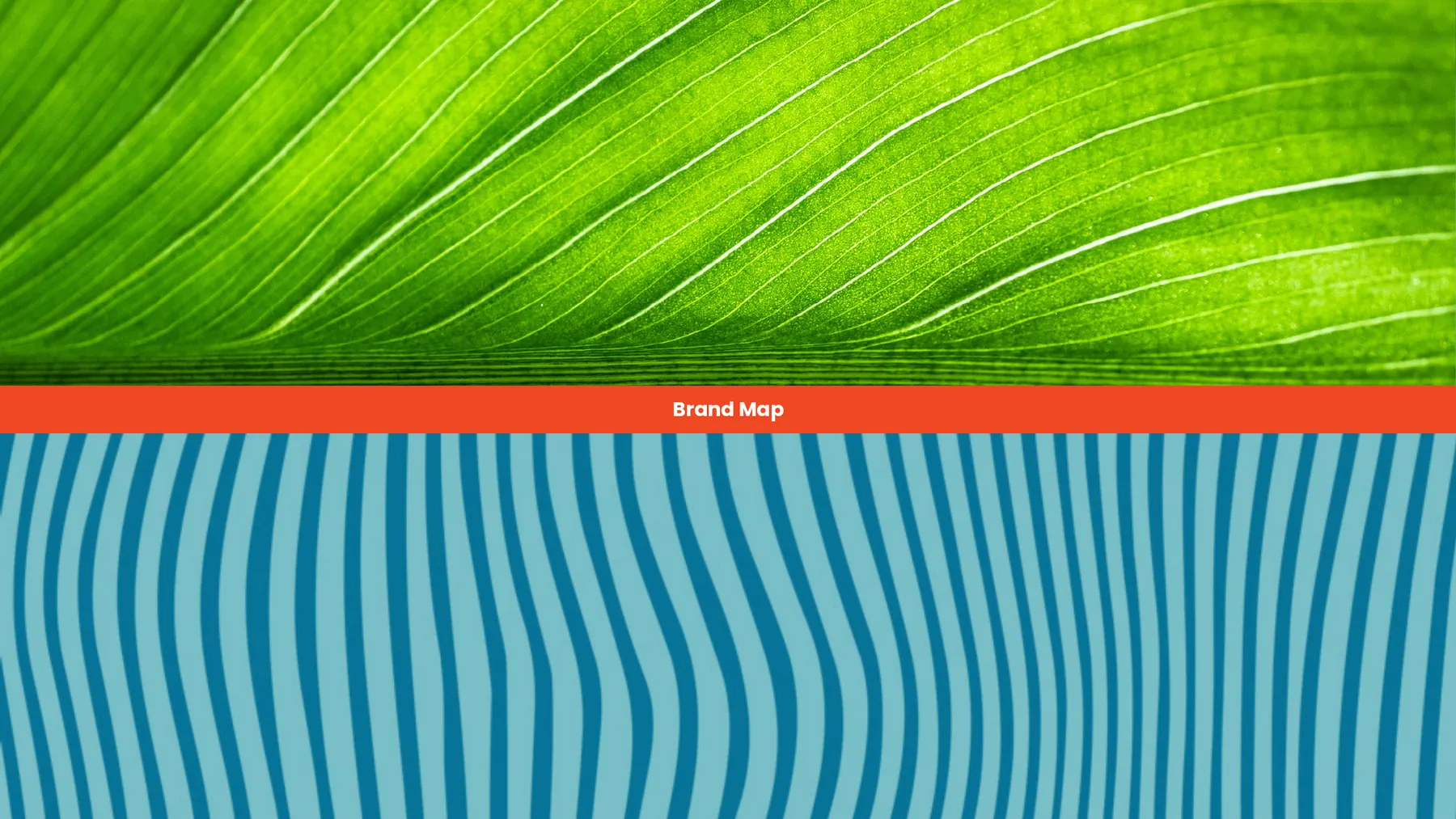 Cover of the Bhavani Brand Map, a leaf and blue waves on either side of an orange band.
