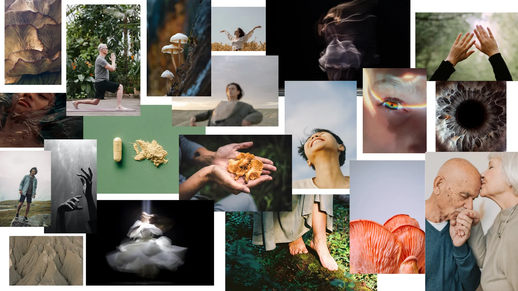 Bhavani moodboard: mushrooms, forest light, hands and natural textures.