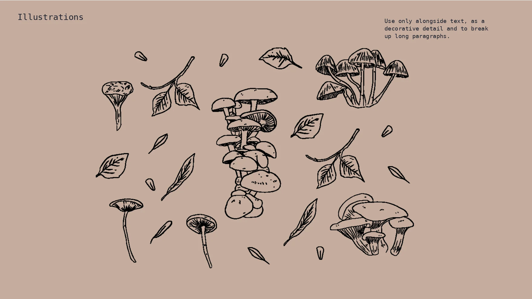 Bhavani line illustrations of mushrooms and leaves, with the rule for using them, translated from Spanish.