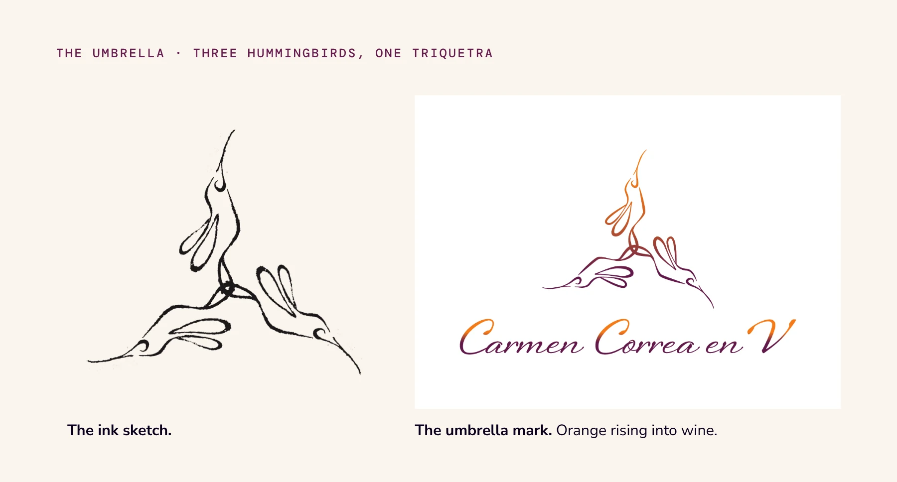 An ink sketch of three hummingbirds joined in a triquetra, next to the final Carmen Correa en V mark in an orange to wine gradient.