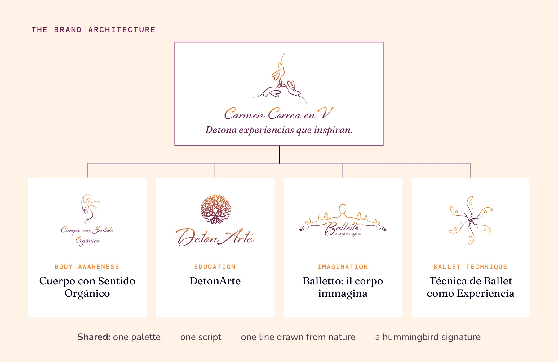 Brand architecture diagram: Carmen Correa en V and its tagline at the top, branching to Cuerpo con Sentido Orgánico, DetonArte, Balletto and Técnica de Ballet como Experiencia, each with its mark and role.