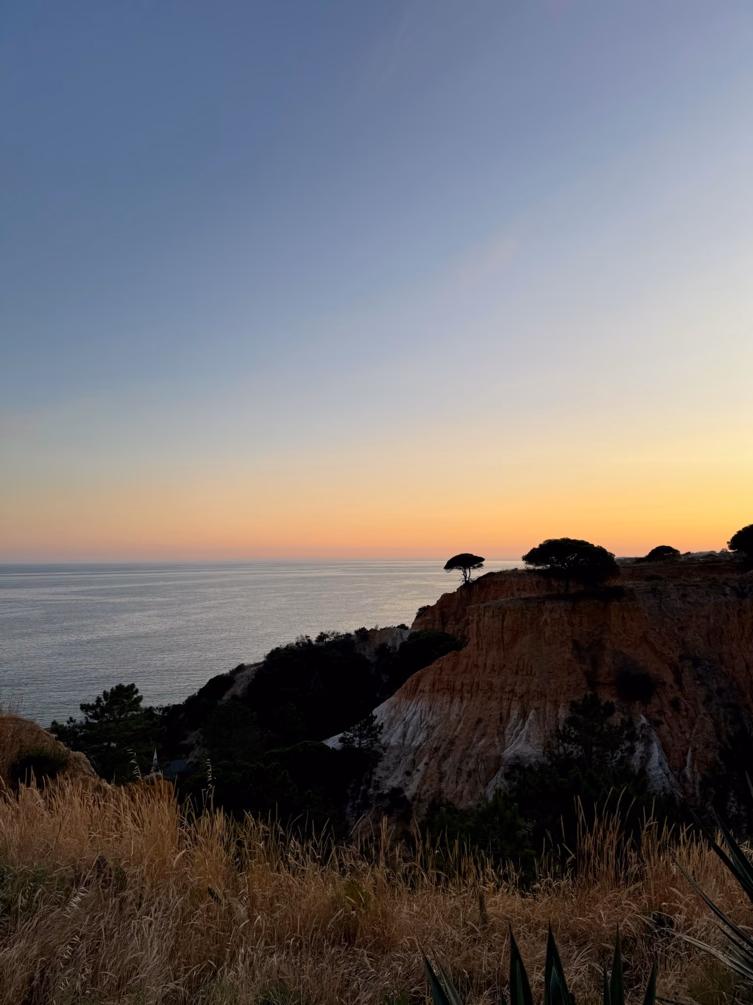 Sunset over coastal cliffs with golden grass and ocean horizon