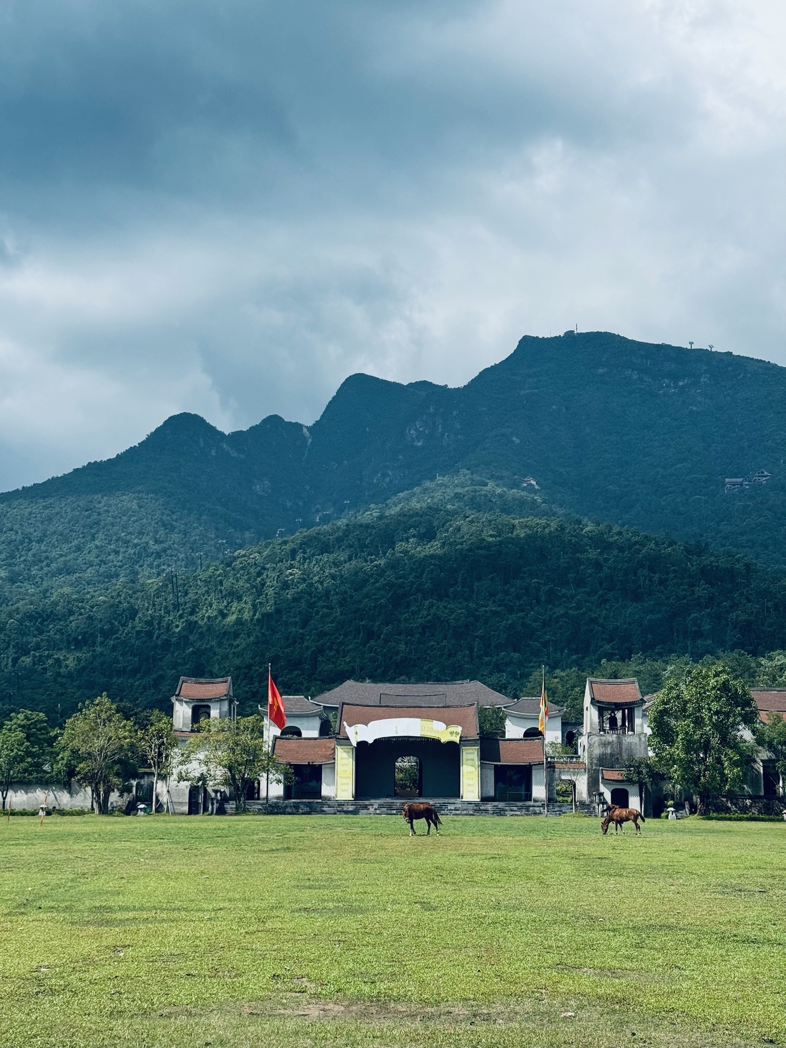 Two brown horses grazing on a large, green grassy field with an old traditional building and flags in front of a forested mountain under a cloudy sky.